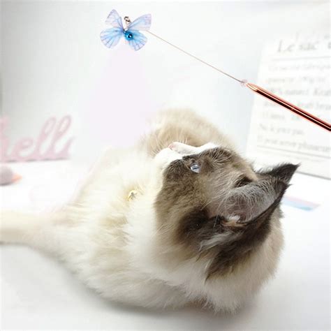 PetsParty Cat Toys Interactive Feather Teaser Luxury 29CM Rod Wand Feathers Toy for Kitten Cats ...