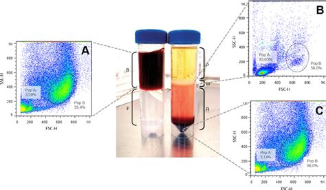 Ficoll Blood Separation Protocol : pharmaceutica-analytica-acta-human-neutrophils : The ...