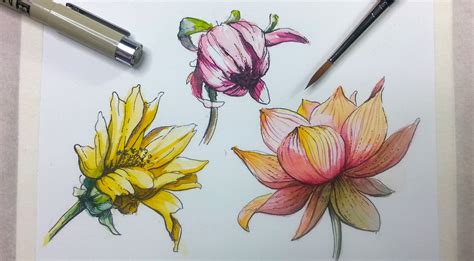 Pen And Ink Flower Drawing at GetDrawings | Free download