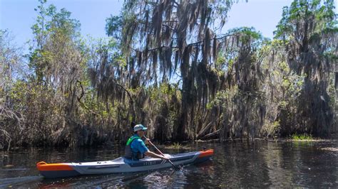 Kayaking the Okefenokee Swamp - In4adventure