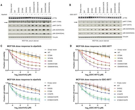 Double PIK3CA mutations in cis increase oncogenicity and sensitivity to ...