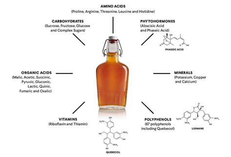 Maple Syrup Nutrition - Calories, Macros & Health Benefits