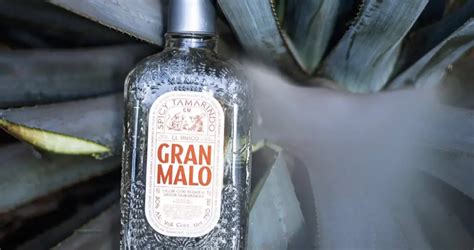 Elevate Your Cocktail Game with Gran Malo Tequila: Exploring Unique and Flavorful Mixology ...