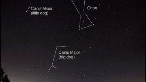 Constellations Canis Minor