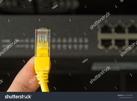 Network Switch Ethernet Cable Rack Cabinet Stock Photo 1747034168 ...