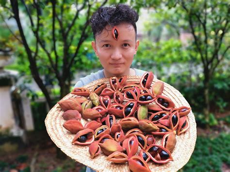 Chinese Fruit Hunter Yang Xiaoyang | The World of Chinese