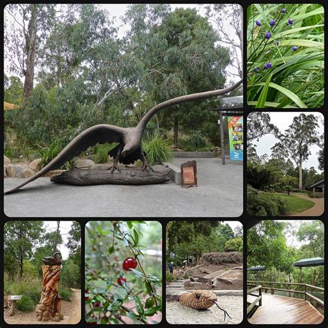 Healesville Sanctuary.... | Australian animals, Sanctuary, Habitats