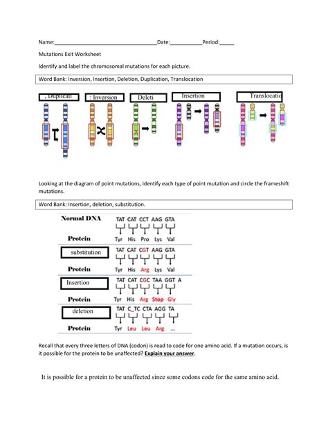 Dna Mutations Worksheet Key