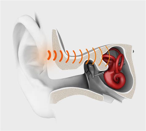 The History of Bone Conduction | AfterShokz