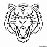 Fierce Saber Toothed Tiger Coloring Page  Pagescom sketch template