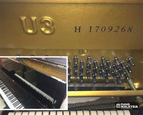 Yamaha piano serial number lookup - bxeconsultant