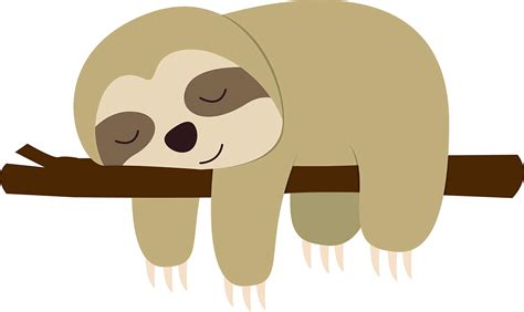 Baby Sloth Cartoon