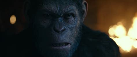 Photo Reveals Nova in War for the Planet of the Apes