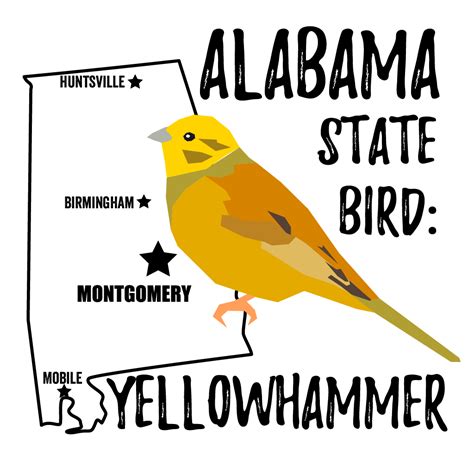 Alabama State Bird - Bird Watching Academy