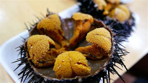 Japanese Street Food - GIANT SEA URCHIN Uni Sashimi Japan Seafood ...