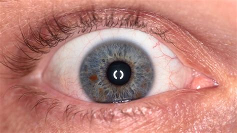 These Artificial Eyes Are Hauntingly Beautiful–And Made By A 3-D Print