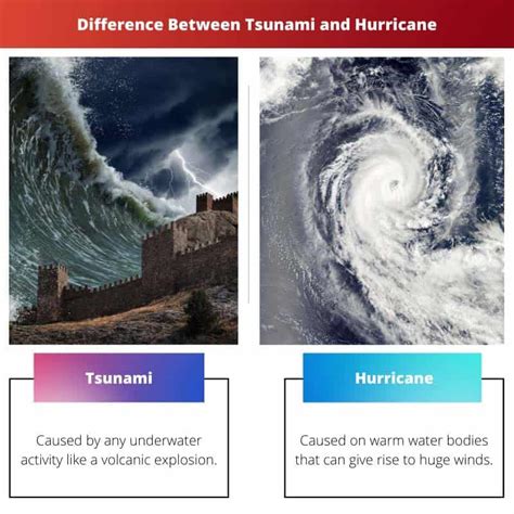 Tsunami vs Hurricane: Difference and Comparison