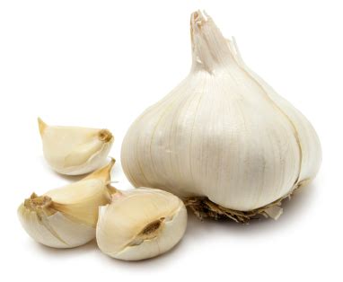 Garlic: The Natural Antibiotic