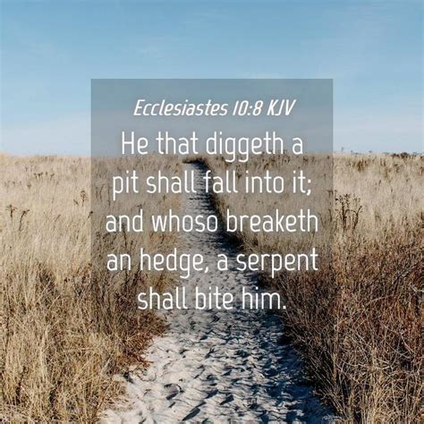 Ecclesiastes 10:8 KJV Bible Verse Images