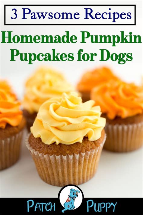 Homemade Pumpkin Pupcakes for Dogs - Three Recipes | Pet treats recipes ...