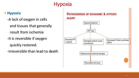 Cytoprotective agents