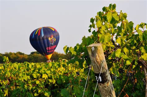 Creekbend Vineyard | Oliver Winery Ellettsville, IN | Angie | Flickr