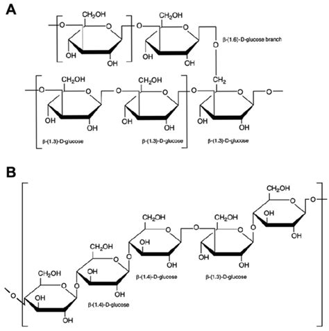 Schematic effect of β-glucans on immune and cancer cells. β-glucans are ...