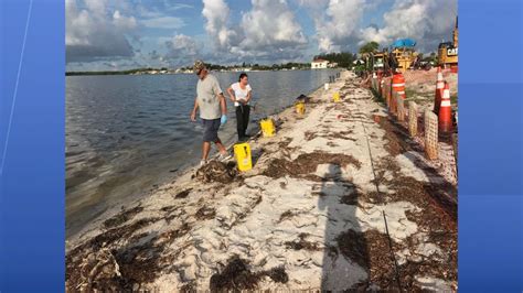 Manatee officials: Volunteers needed for red tide cleanup