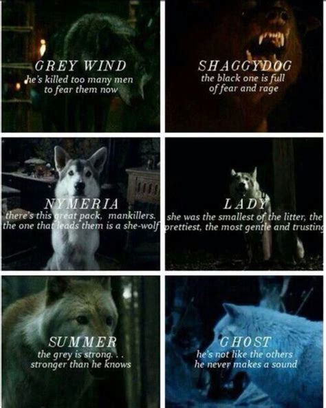 Stark Direwolves: Are their names a hidden meaning? | Thrones Amino