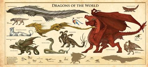 difference between dragons and wyverns - Google Search | Types of ...