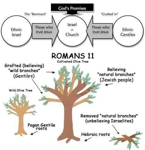 A2 Bible Study | Hope Church