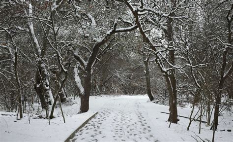 Photos show snow falling in San Antonio, Texas