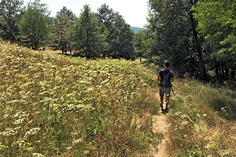 PHOTO: Walking trails in the Kali Basin Sea of Stones, Lake Balaton ...