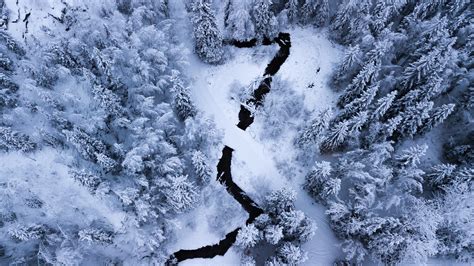 Chena Hot Springs Resort