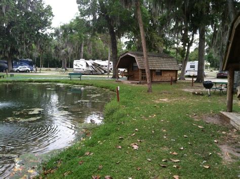 Ocala RV-Camp Resort, 3200 SW 38th Ave, Ocala, FL, Campgrounds - MapQuest