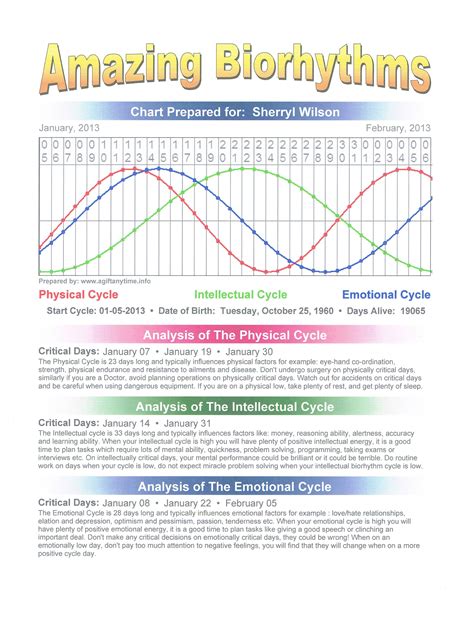 Amy Sue Cooper Biorhythm Daily Chart | Hot Sex Picture