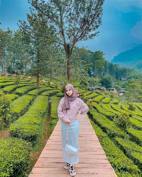 Tea Bridge Gunung Mas Puncak Lokasi Harga Tiket Terbaru - Wisata Milenial