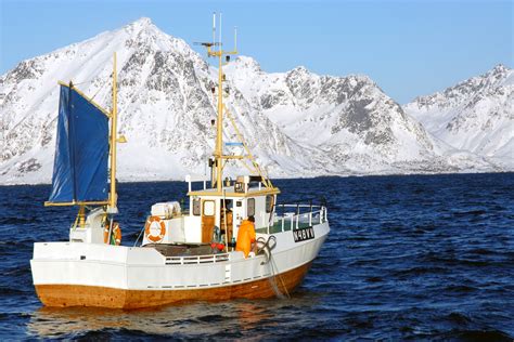 Bordering states agree to forgo fishing in the Arctic - Eurofish