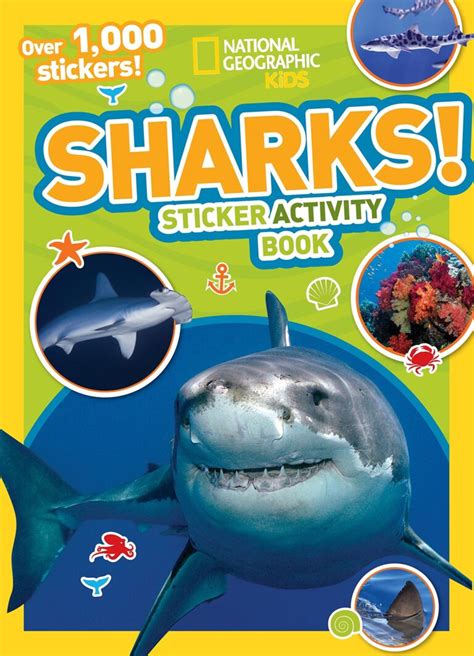 Best Shark Books for Kids, as Recommended by Teachers