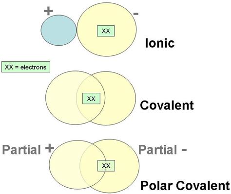 Types Of Bonds Chemistry Worksheet