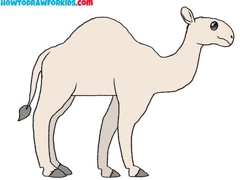 Easy Camel Drawing