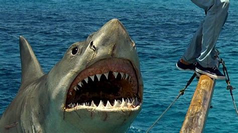 Jaws Star Joins New Shark Movie