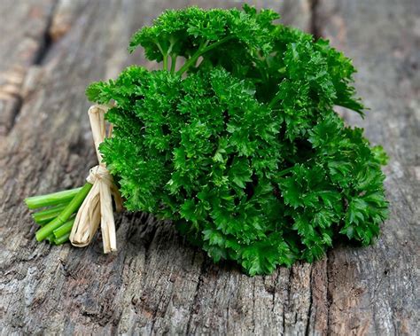 How to grow Parsley