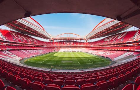 Benfica Stadium Tours and Activities | musement