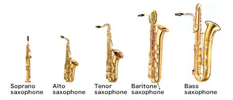 What are the Different Types of Saxophones? | Explained!