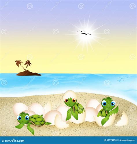 Birth of sea turtles stock illustration. Illustration of birth - 57974130