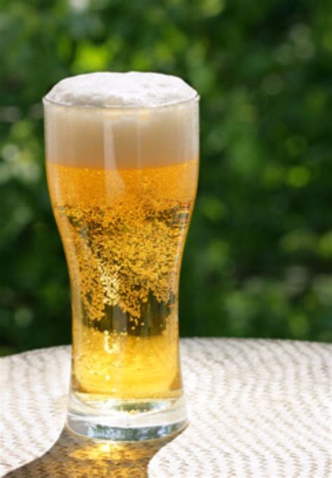 31 Best Homemade Beer Recipes | Home brewing beer, Beer recipes, Homemade beer