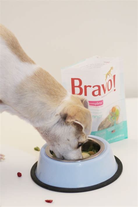 HAPPYHAZEL: Bravo Raw Dog Food Homestyle Complete Dinners Review