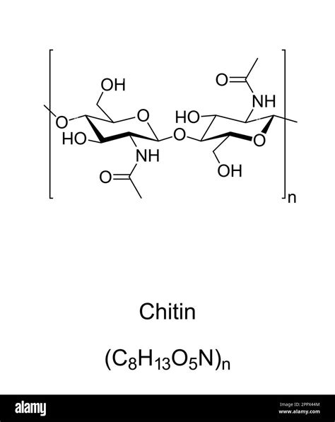 Chitin, chemical structure, cell walls component in insect exoskeletons Stock Vector Image & Art ...