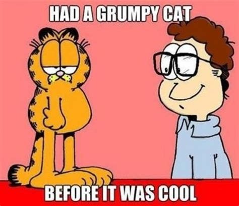 Garfield - Meme Guy